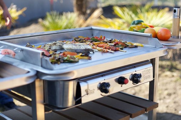 barbecue et plancha